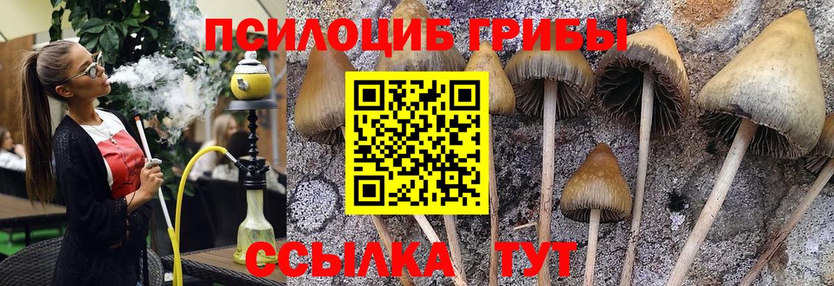 Югорск  Псилоцибиновые грибы GOLDEN TEACHER  Вход с VPN 