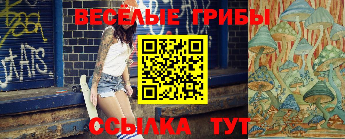 Псилоцибиновые грибы Cubensis Югорск
